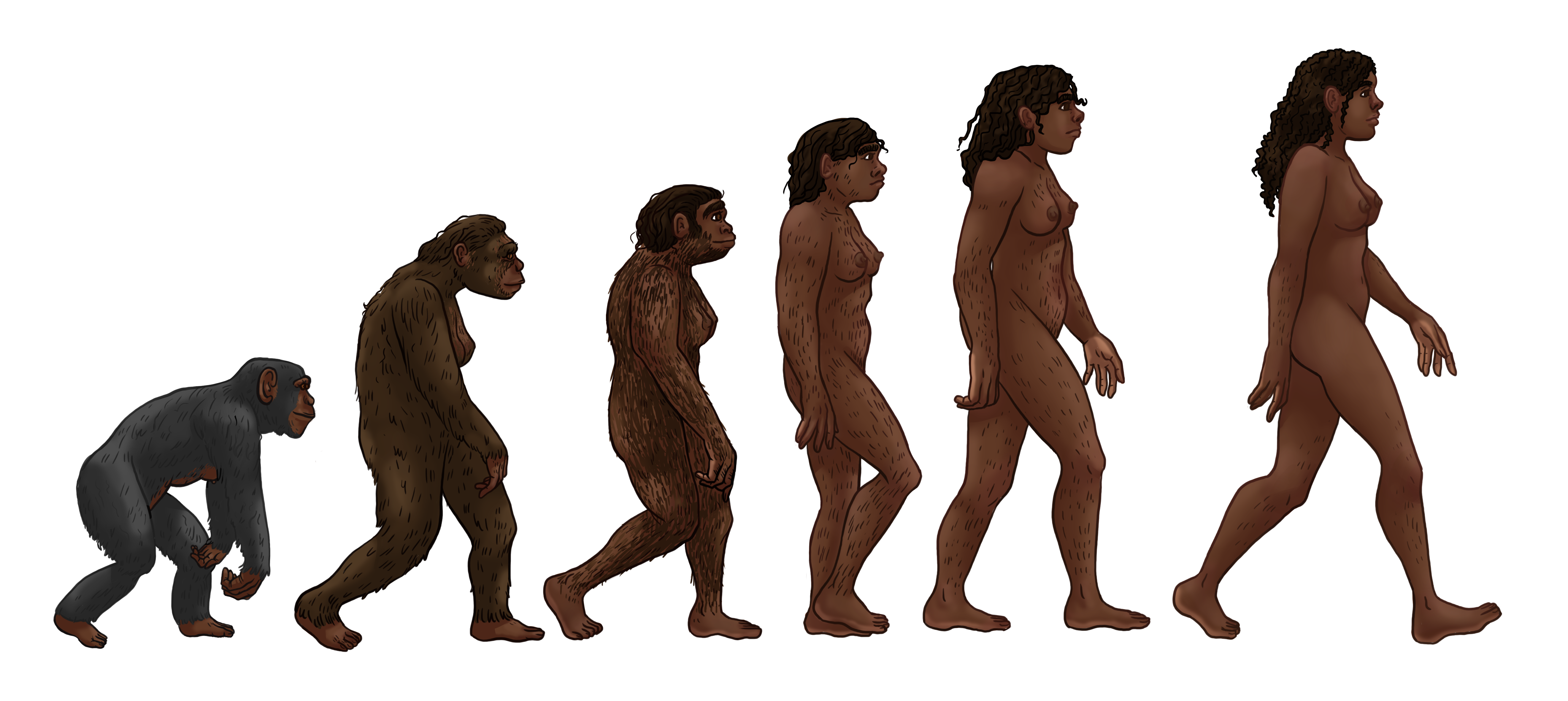 Creation and Evolution: Two Simultaneous Orders | A Catholic Philosophy ...